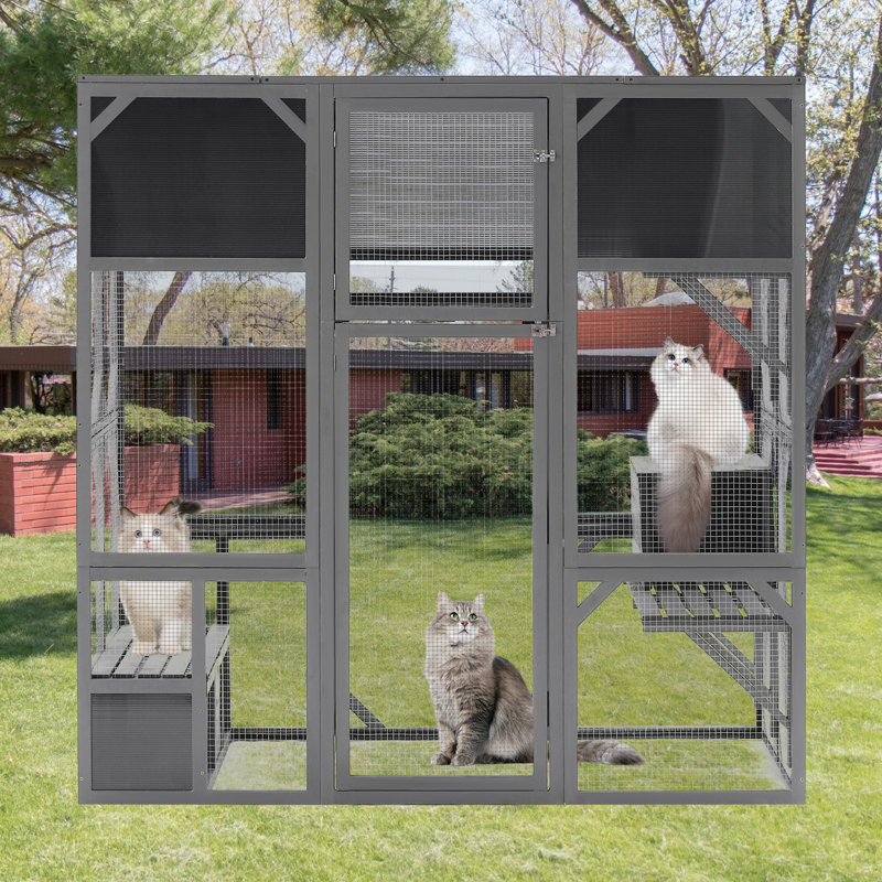 Large Wood Cat Enclosure Cage Pet Playhouse Run House Bouncy Bridge Platforms Sunshine Board